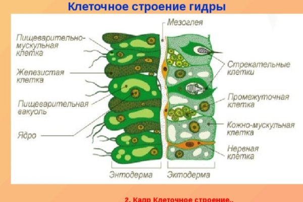 Сайты продаж наркотиков