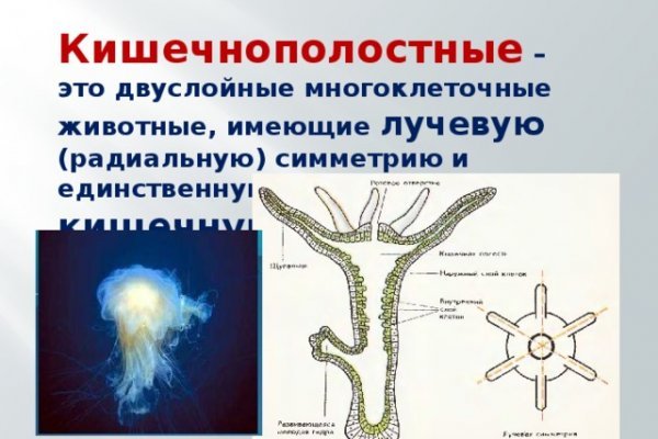 Kraken даркнет переходник